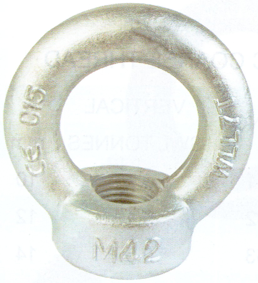 Nostosilmukka DIN 582 M12